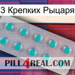 3 Крепких Рыцаря 28